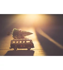 Melyik a legjobb műfenyő: 2D, 3D vagy Full 3D műfenyő? [2025 útmutató]