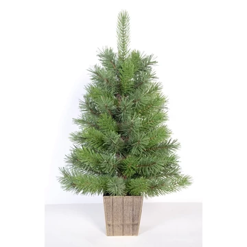 EVERDALE Mini Pine 60 cm
