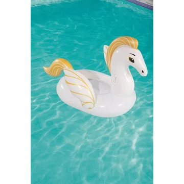 Pegasus rider 159x109 cm