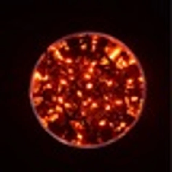 Dekortrend Kültéri vezérlős LED Fényfüzér 120 db / 6 m PIROS LED-del