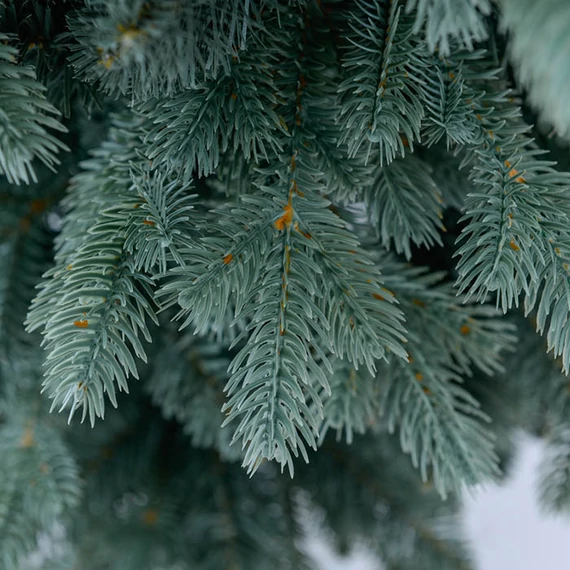 Műfenyő SILVER SLIM PINE 210 cm