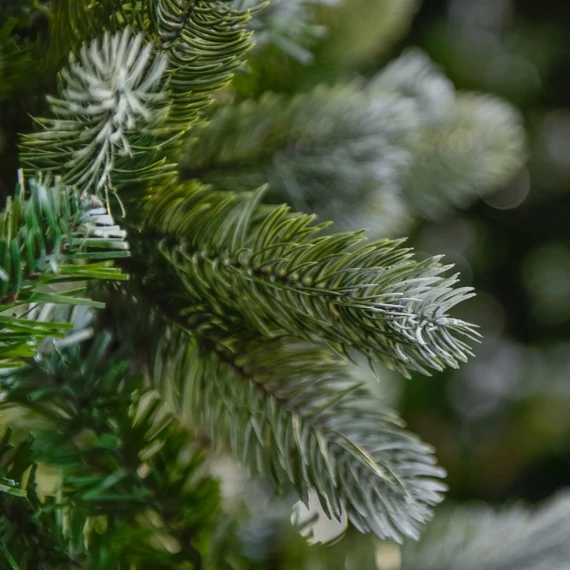 Tirol Pine műfenyő 210 cm