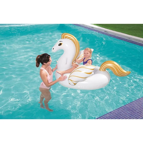 Pegasus rider 159x109 cm