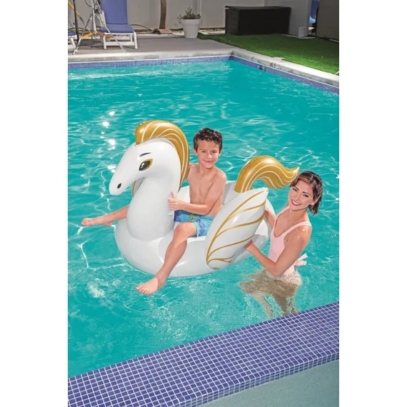 Pegasus rider 159x109 cm