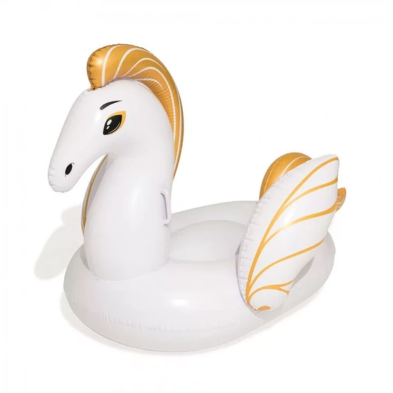 Pegasus rider 159x109 cm