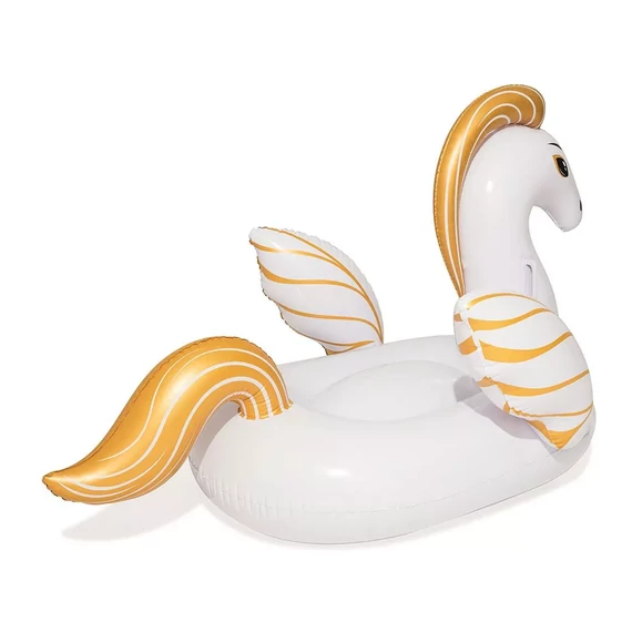 Pegasus rider 159x109 cm