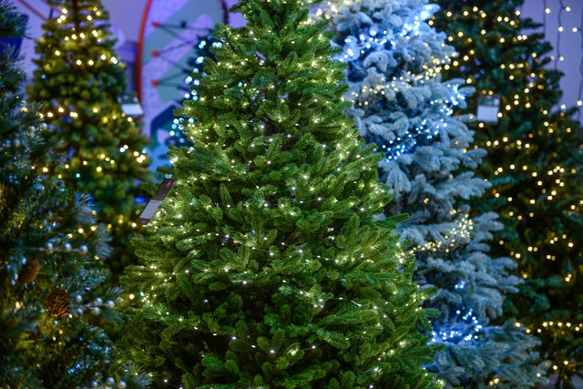 A legjobb műfenyő kínálat egymás mellett: 2D, 3D és full 3D modellek.