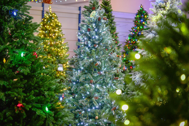 2D, kevert levelá 3D és full 3D műfenyők vegyesen elérhetők