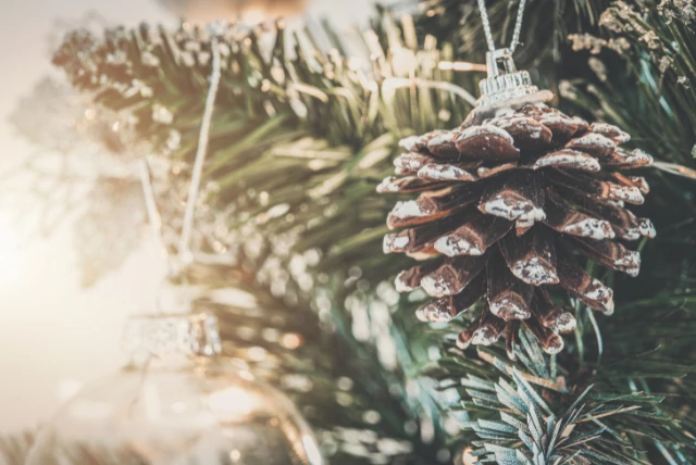 Miért jobb a műfenyő, mint az élő fenyő?